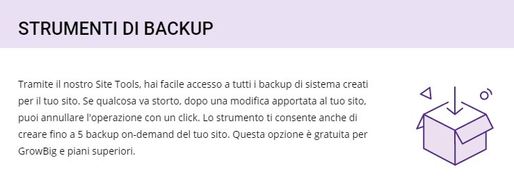backup hosting