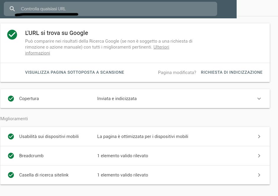 Google Search Console controllo url
